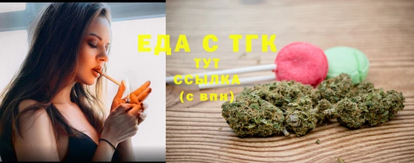 индика Богородск