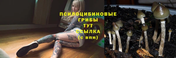 индика Богородск