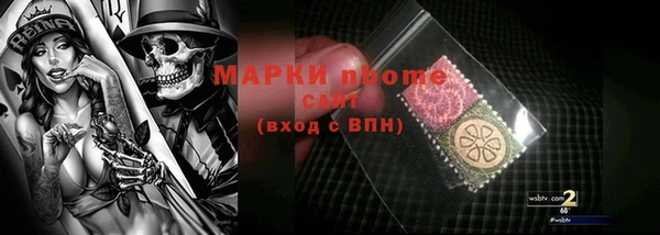 индика Богородск