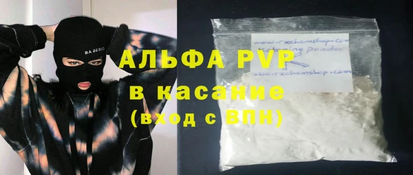 индика Богородск