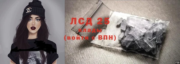индика Богородск