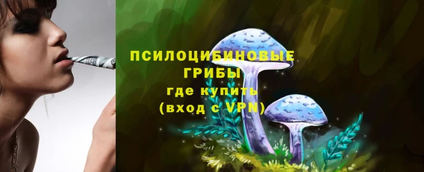 индика Богородск