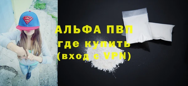 индика Богородск