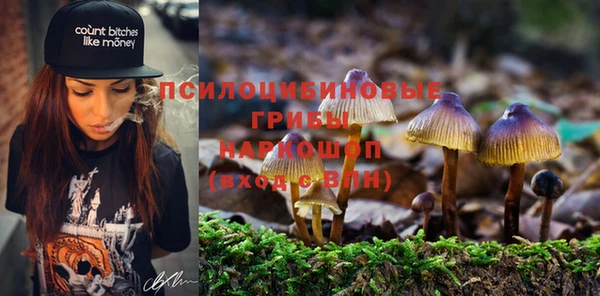 сатива Богородицк