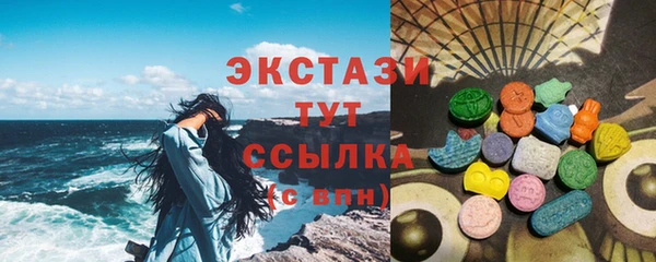 индика Богородск