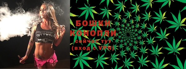 сатива Богородицк