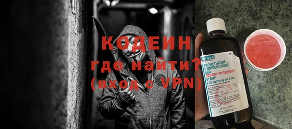 индика Богородск