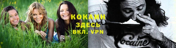 сатива Богородицк