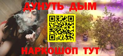 дмт Гай