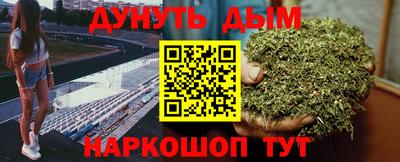 дмт Гай