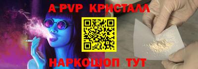 дмт Гай