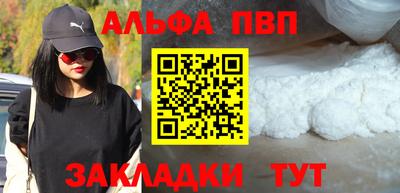 дмт Гай