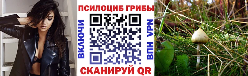 даркнет состав Корсаков Псилоцибиновые грибы MAGIC MUSHROOMS