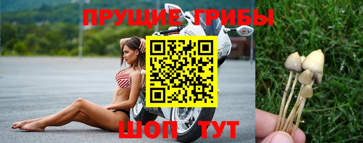Псилоцибиновые грибы прущие грибы  Вход с VPN  Корсаков 