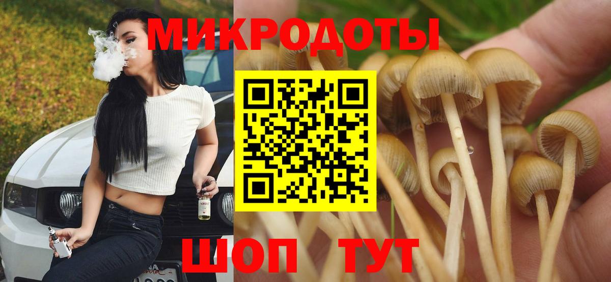 Галлюциногенные грибы Cubensis Корсаков