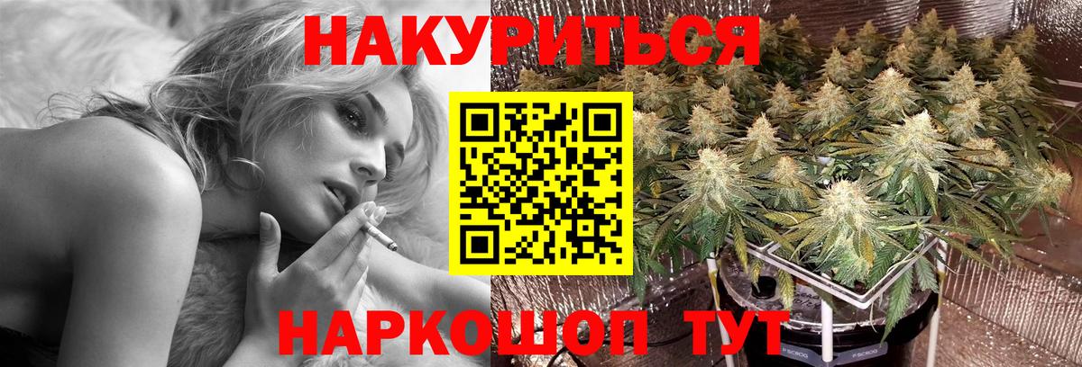Бошки марихуана гибрид  Шишки марихуана Bruce Banner  Конопля марихуана  Корсаков  Вход с VPN 